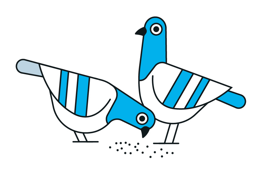 Pigeons. Illustration by Axel Pfaender for Pentagram.